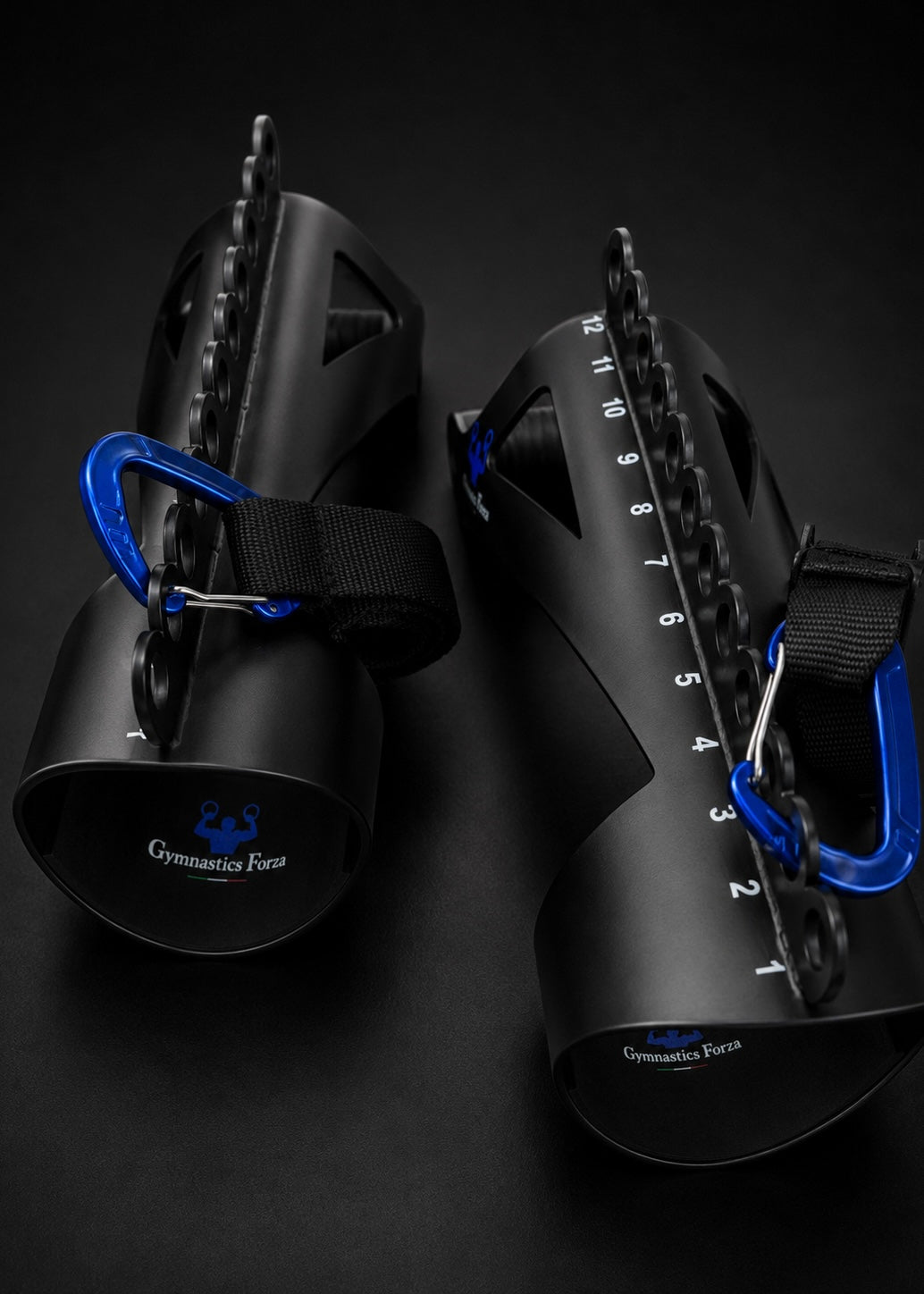 Forza Iron Cross System straps and carabiners for setup