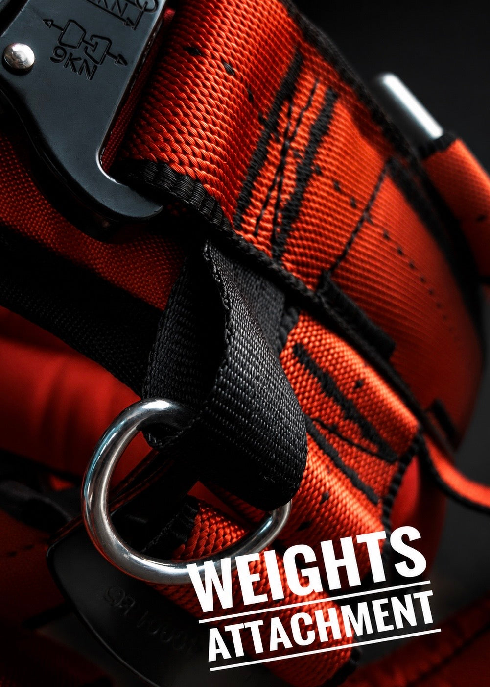 Forza Rings System, assisted ring strength training at home